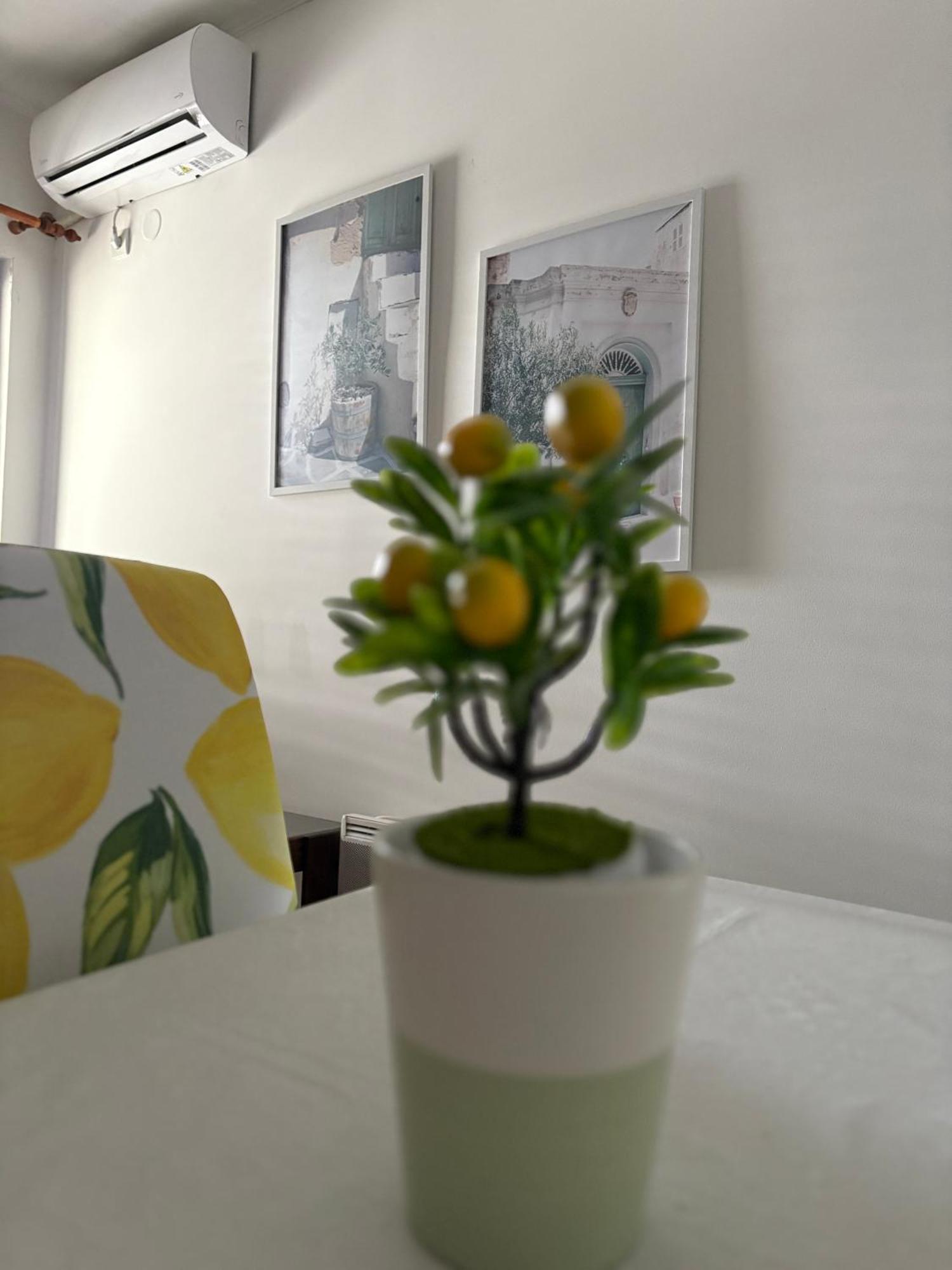 Apartments Herceg Novi Herceg Novi